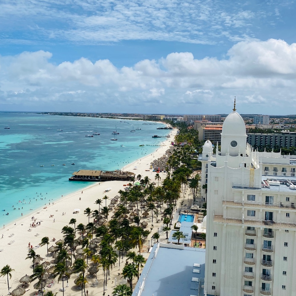 Meet your Posher, Arlene